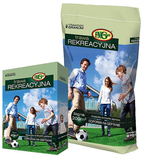 Trawa rekreacyjna